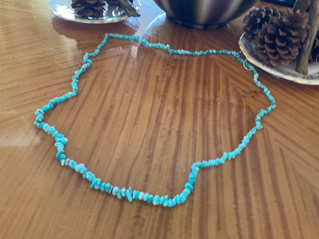Amazonite necklace #3424